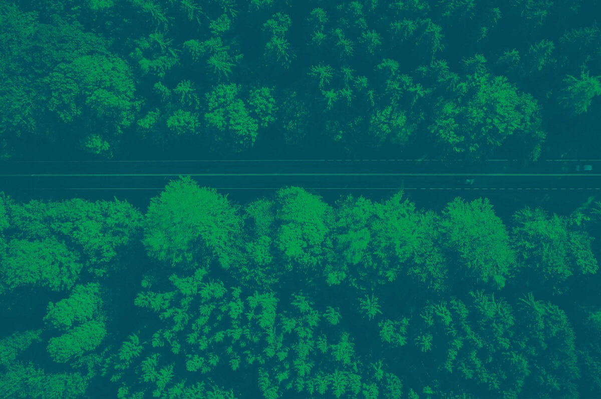 https://api.arval.staging.italy.xtl.nl/uploads/2024/05/hero_alberi-scaled-1-1.jpg